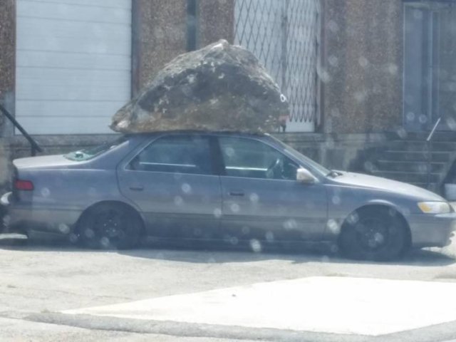What Is Going On Here? (51 pics)