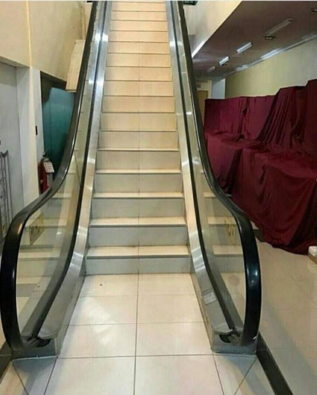 What Is Going On Here? (51 pics)