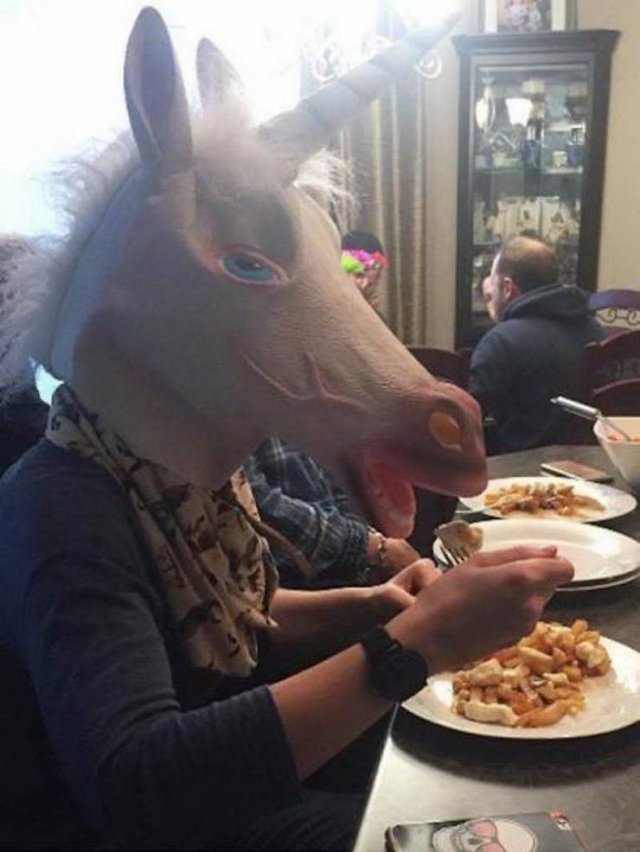 What Is Going On Here? (51 pics)