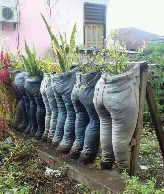What Is Going On Here? (51 pics)