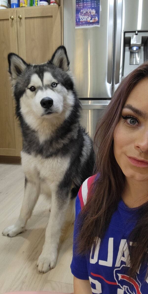Hot Brunettes (36 pics)