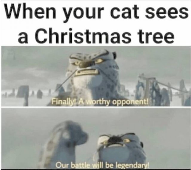 Merry Funny Christmas (36 pics)