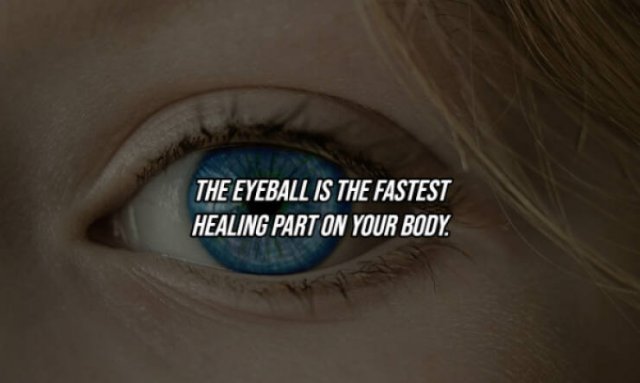 Interesting Facts About Human Body (23 pics)