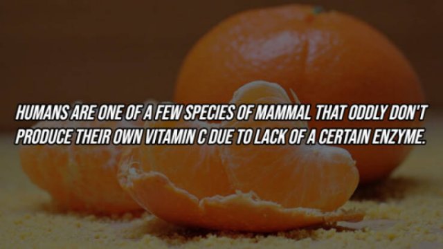 Interesting Facts About Human Body (23 pics)