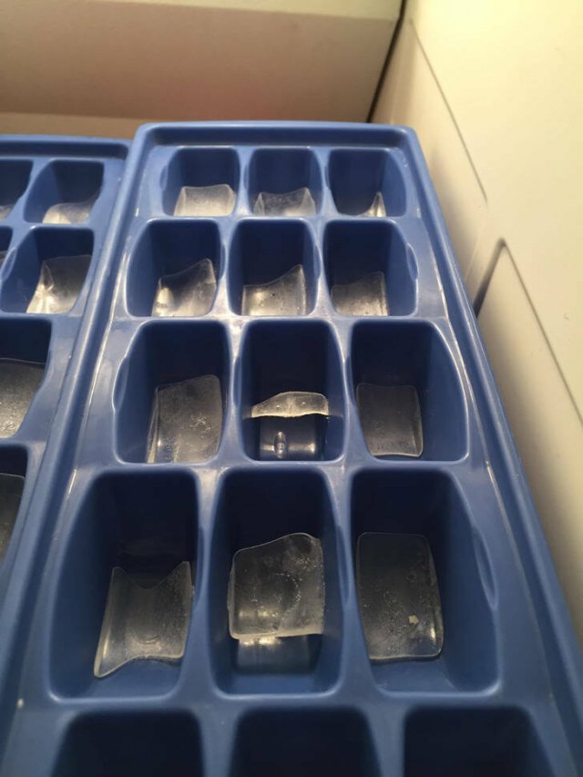 Lazy People (22 pics)
