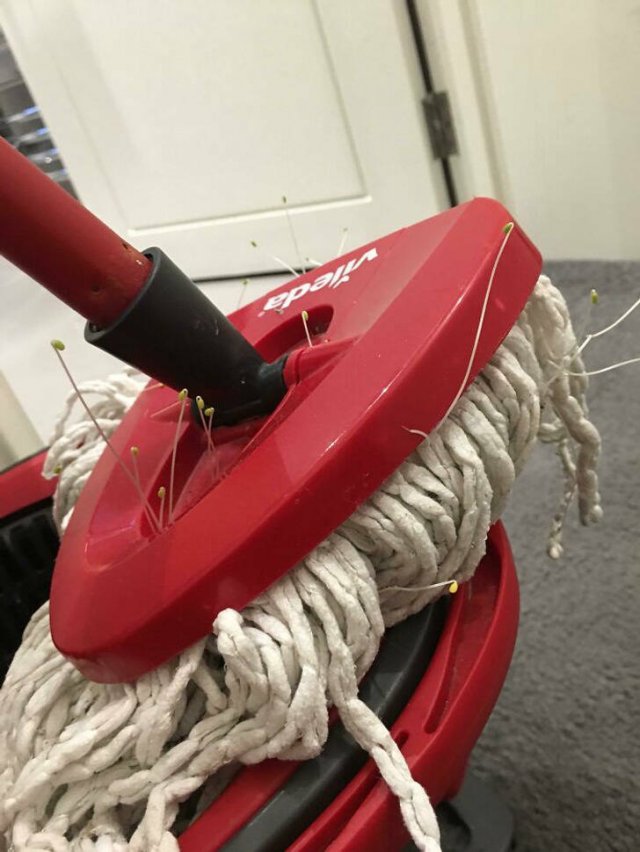 Lazy People (22 pics)