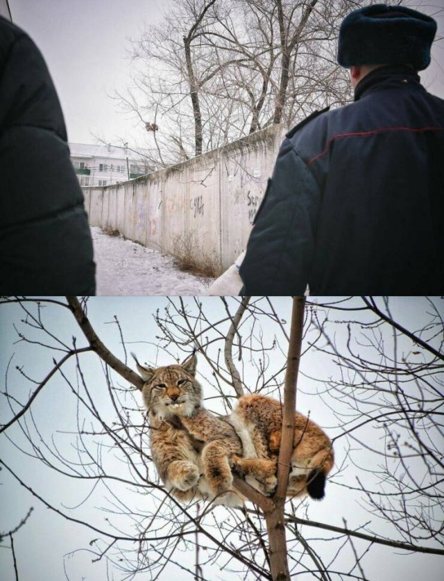 Daily Pictures. Part 1 (55 pics)