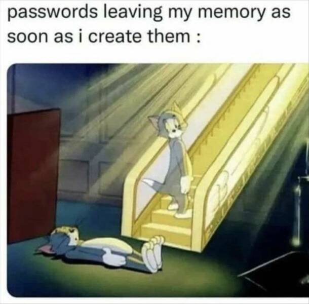 Funny Memes (54 pics)