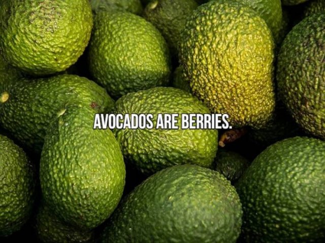 Short Interesting Facts (24 pics)