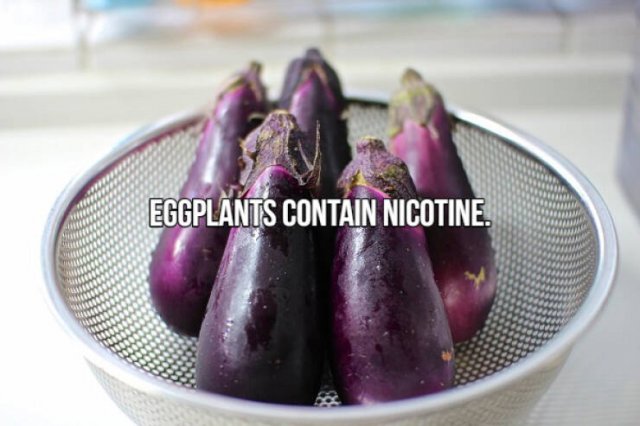 Short Interesting Facts (24 pics)