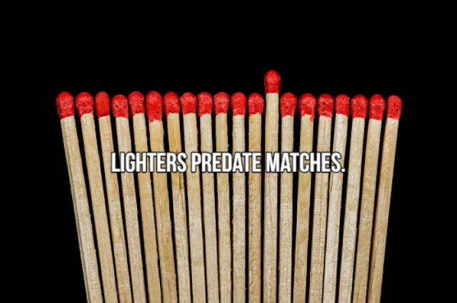 Short Interesting Facts (24 pics)