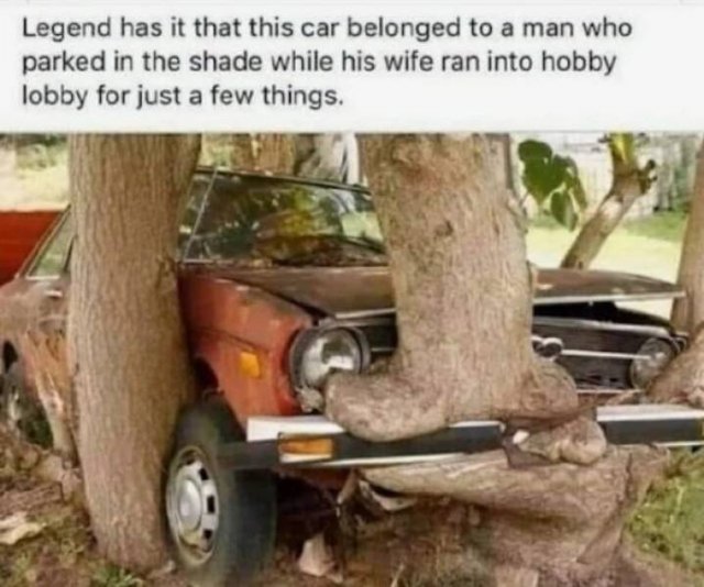 Funny Memes (54 pics)
