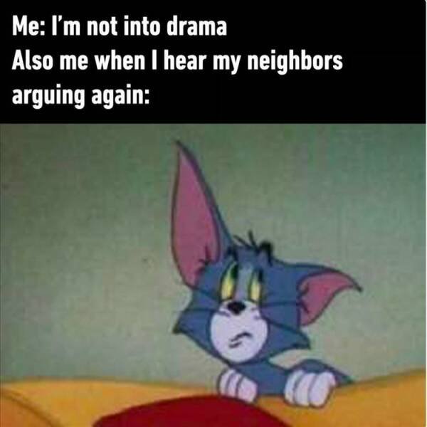 Funny Memes (54 pics)