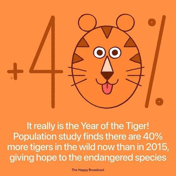2022 Had Some Good News Too (30 pics)