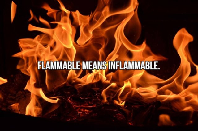 Short Interesting Facts (24 pics)