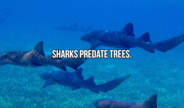 Short Interesting Facts (24 pics)