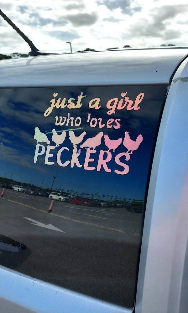 Adult Memes (55 pics)