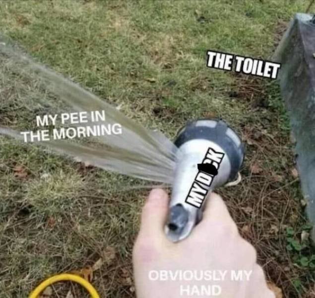 Adult Memes (55 pics)