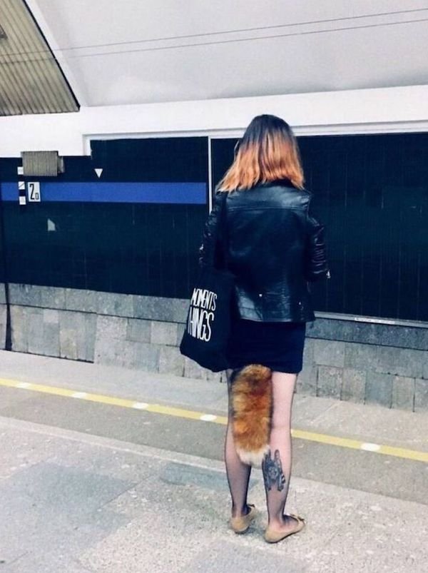 Try To Explain It (30 pics)