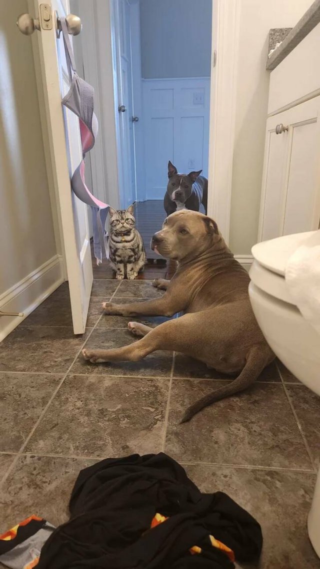 Annoying Finds And Situations (41 pics) Annoying Finds And Situations (41 pics)