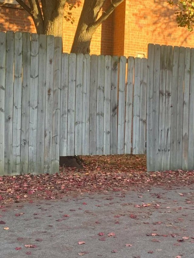 Annoying Finds And Situations (41 pics) Annoying Finds And Situations (41 pics)