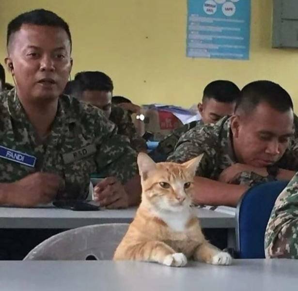 What Is Going On Here? (50 pics)