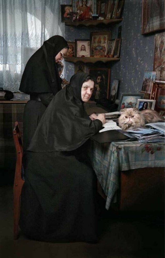 Accidental Renaissance (43 pics)