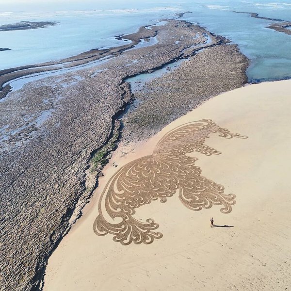 Amazing Drawings On The Beach (31 pics)