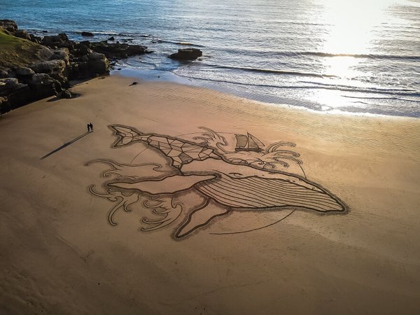 Amazing Drawings On The Beach (31 pics)