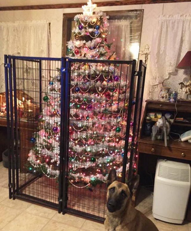 How To Save Your Christmas Tree From Your Pet (21 pics)