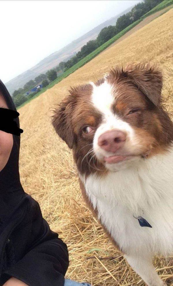 Cute And Funny Animals (55 pics)