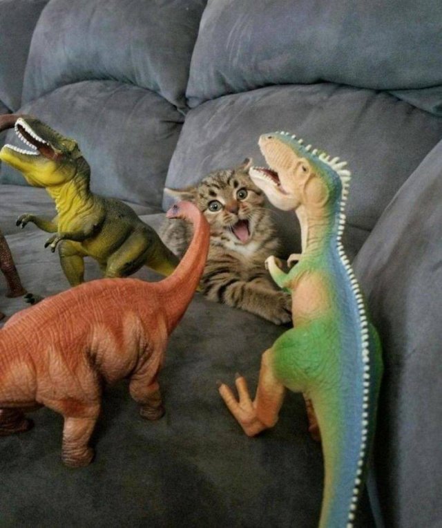 Cute And Funny Animals (55 pics)
