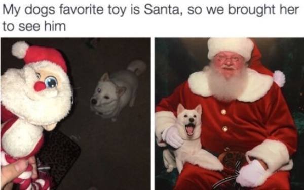 Cute And Funny Animals (55 pics)