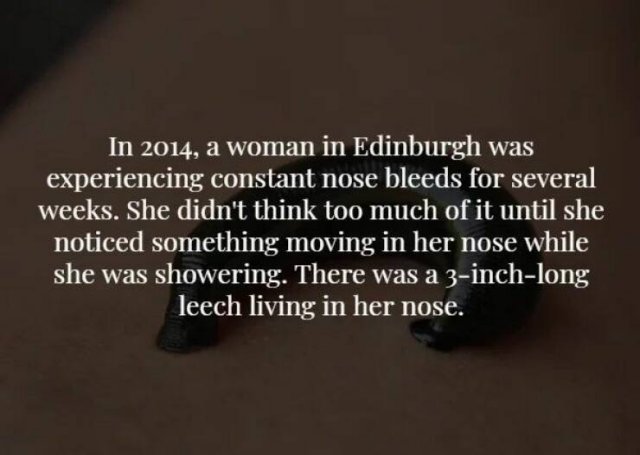 Creepy Facts (16 pics)