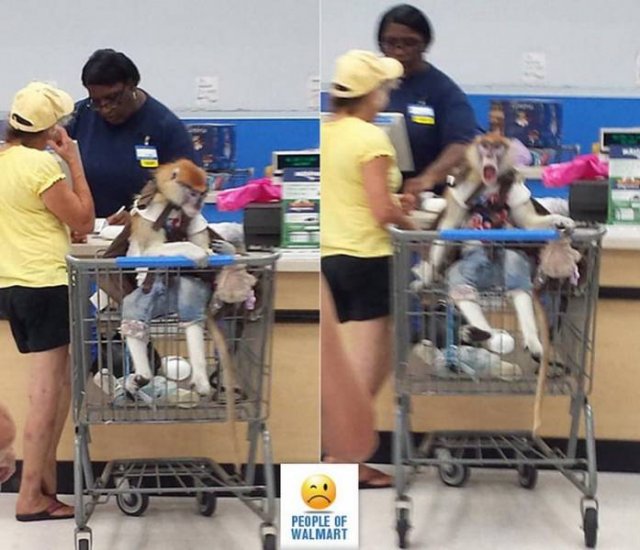Strange ''Walmart'' Visitors (34 pics)