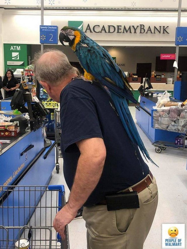 Strange ''Walmart'' Visitors (34 pics)