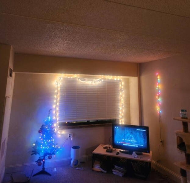 People Who Are Ready For Christmas (18 pics) People Who Are Ready For Christmas (18 pics)
