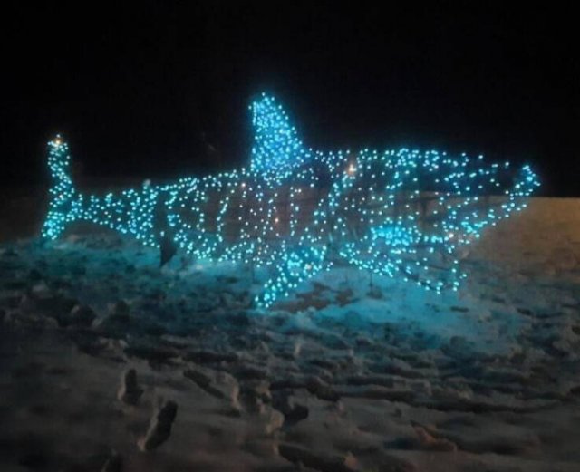 People Who Are Ready For Christmas (18 pics) People Who Are Ready For Christmas (18 pics)