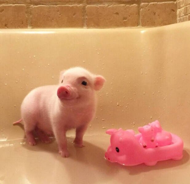 Life Is Beautiful (46 pics)