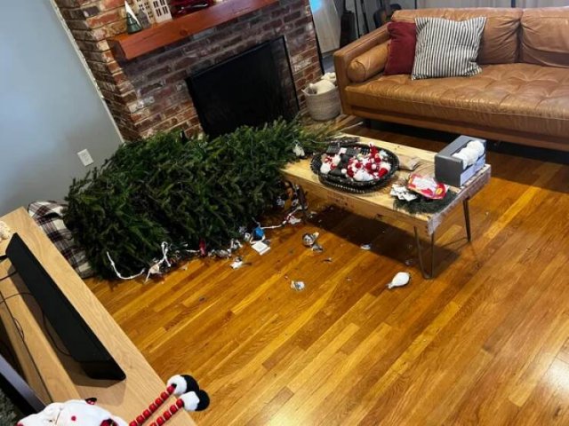 Bad Days Happen (41 pics)