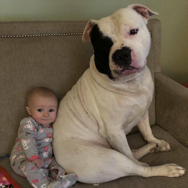Life Is Beautiful (46 pics) Life Is Beautiful (46 pics)