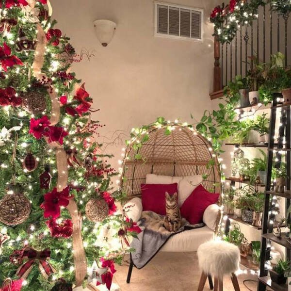 People Who Are Ready For Christmas (18 pics) People Who Are Ready For Christmas (18 pics)