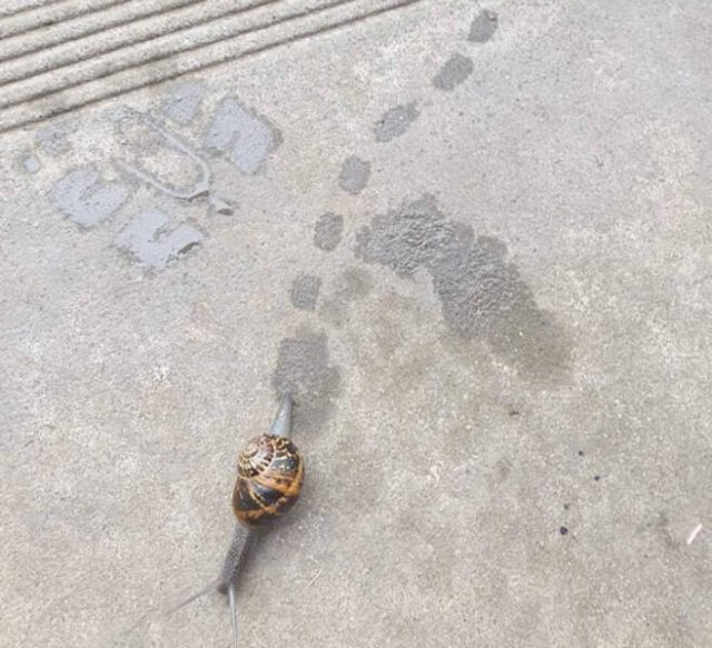 Life Is Beautiful (46 pics) Life Is Beautiful (46 pics)