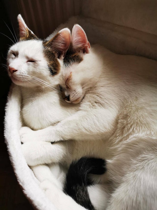 Life Is Beautiful (46 pics)