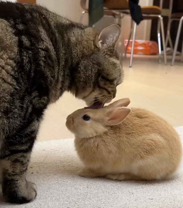 Life Is Beautiful (46 pics) Life Is Beautiful (46 pics)