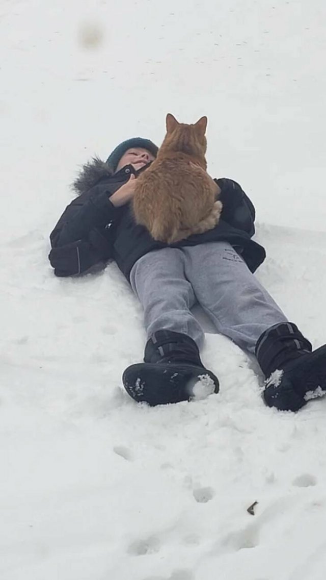 Life Is Beautiful (46 pics) Life Is Beautiful (46 pics)