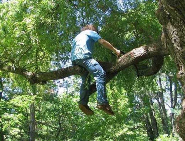 Weird Finds And Situations (47 pics)