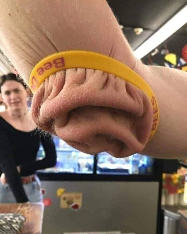 What Is Going On Here? (50 pics)