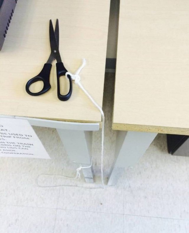 Weird Finds And Situations (47 pics)