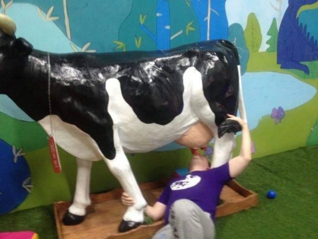 What Is Going On Here? (50 pics)